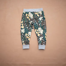 Load image into Gallery viewer, Hedgehog Belly Harem Pants