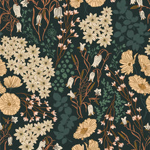 Load image into Gallery viewer, Hedgehog Belly Harem Pants